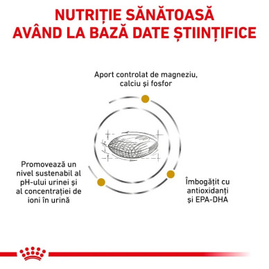 Royal Canin Veterinary Canine Urinary S/O Small Dog – Hrană Uscată Dietetică pentru Câini cu Probleme Urinare, 8 kg